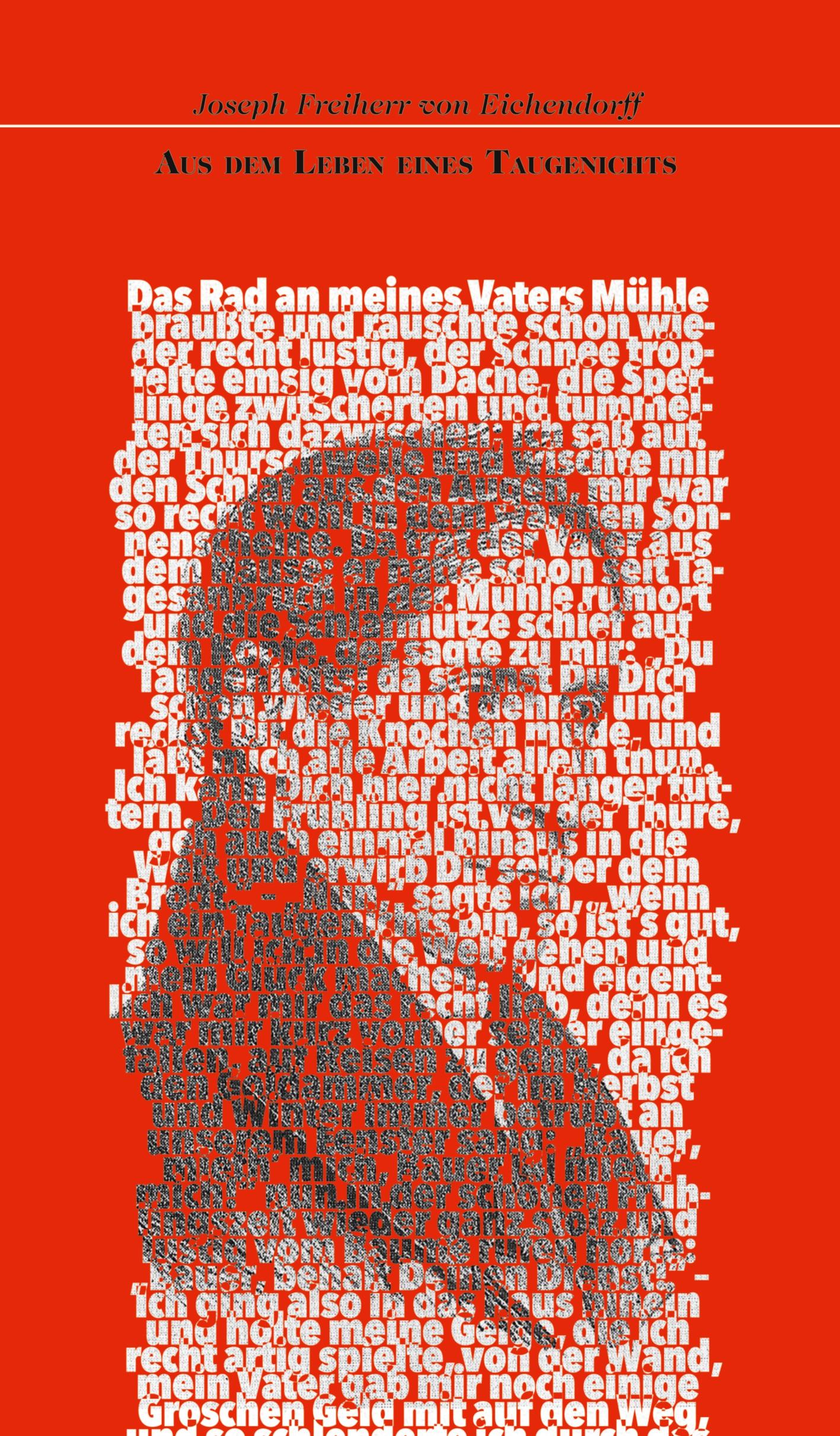 Vorderes Coverbild Aus dem Leben eines Taugenichts