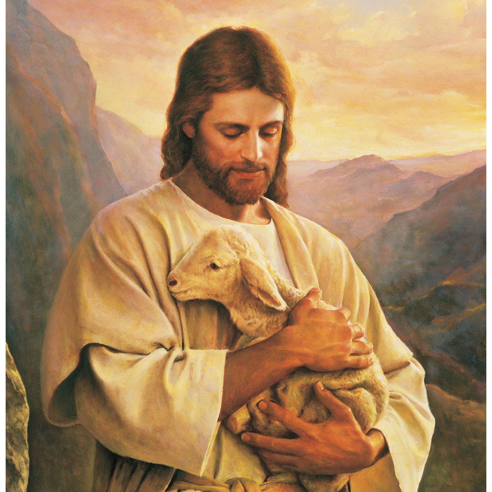 Autorenbild Sprich nur ein Wort der Liebe