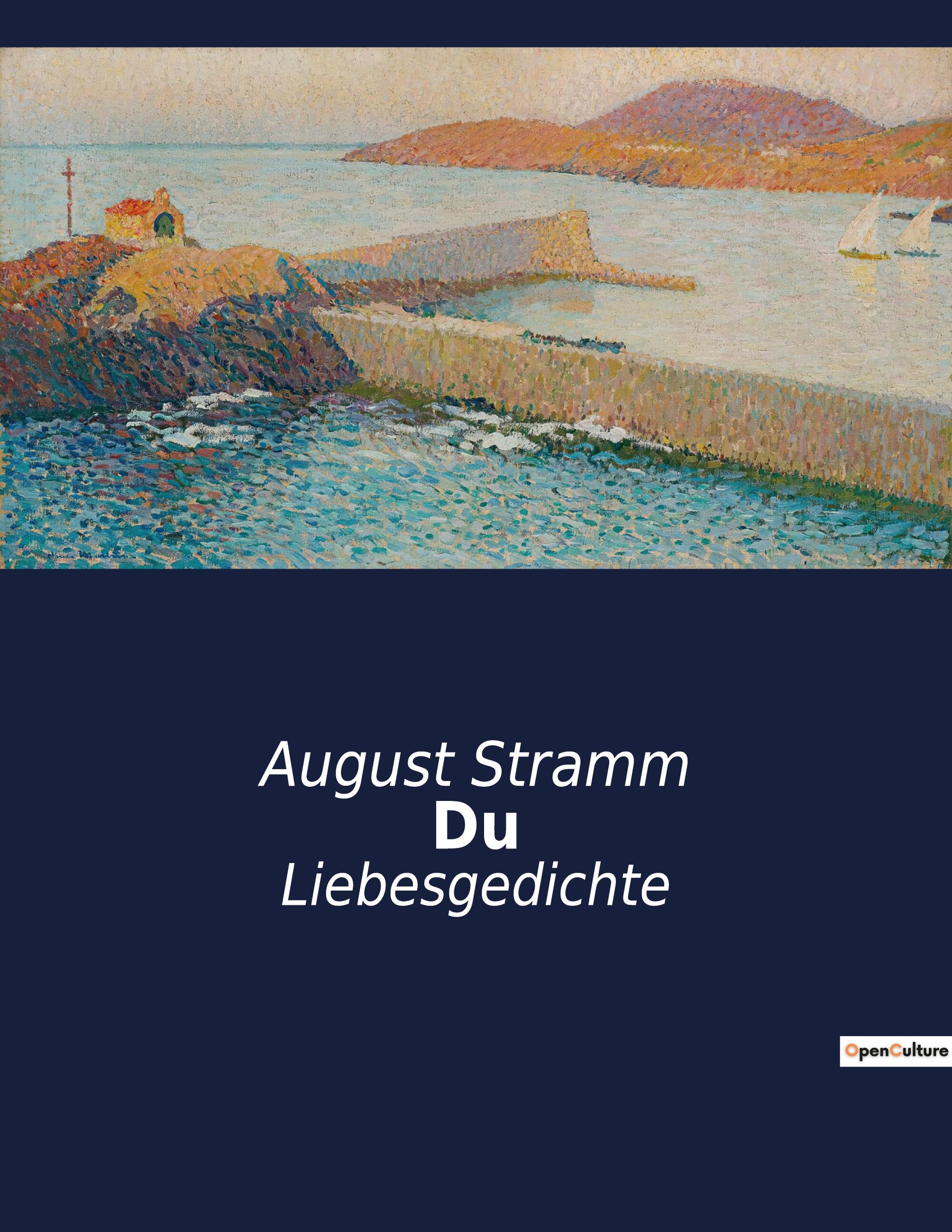 Vorderes Coverbild Du