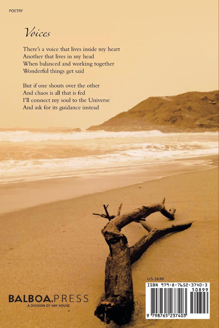 Rückseitencover My Spiritual Book of Rhyme