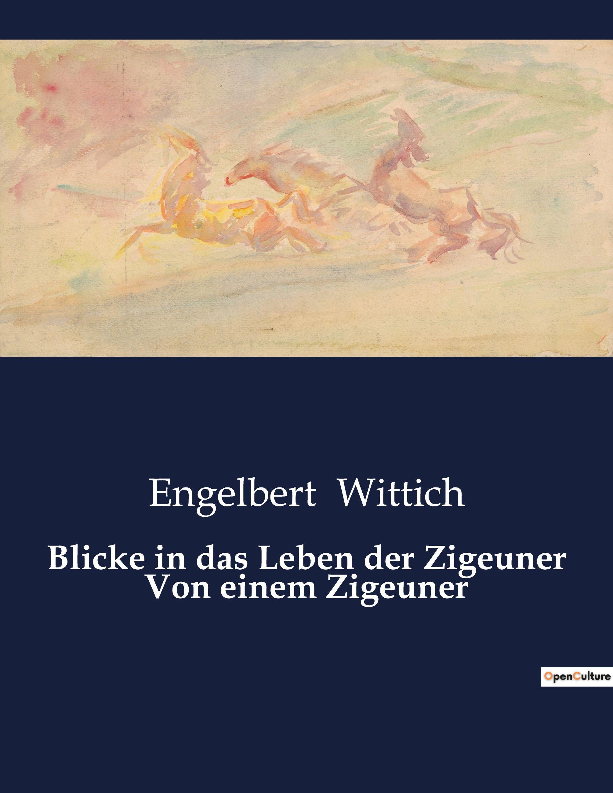 Vorderes Coverbild Blicke in das Leben der Zigeuner Von einem Zigeuner