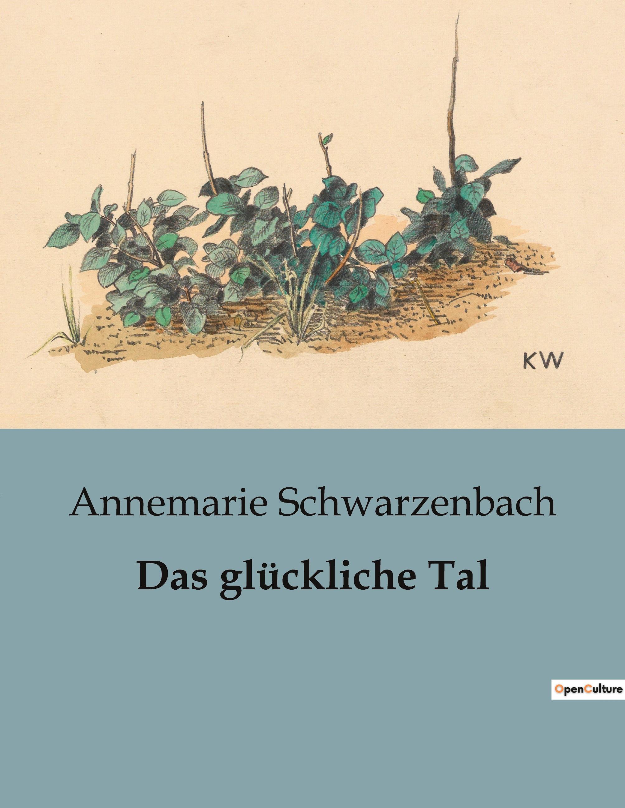 Vorderes Coverbild Das glückliche Tal