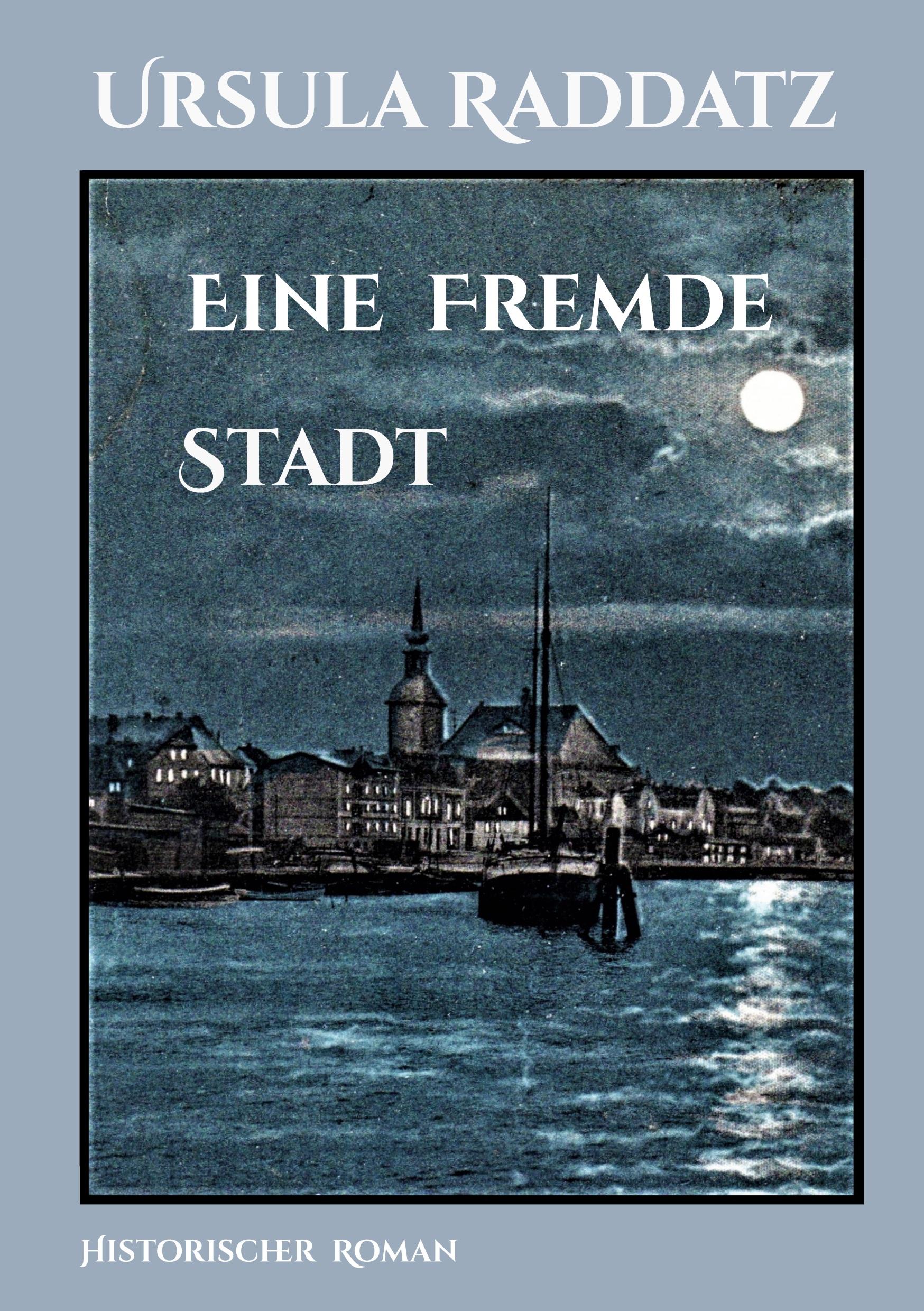 Vorderes Coverbild Eine fremde Stadt