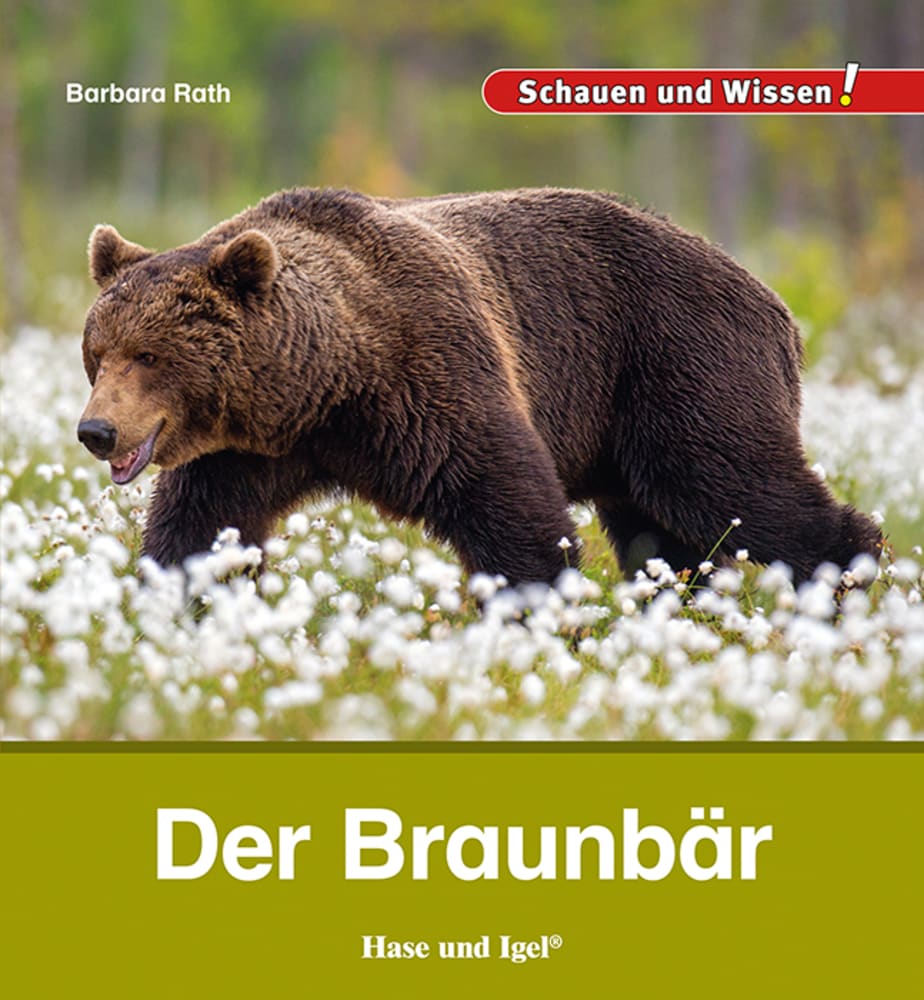 Vorderes Coverbild Der Braunbär