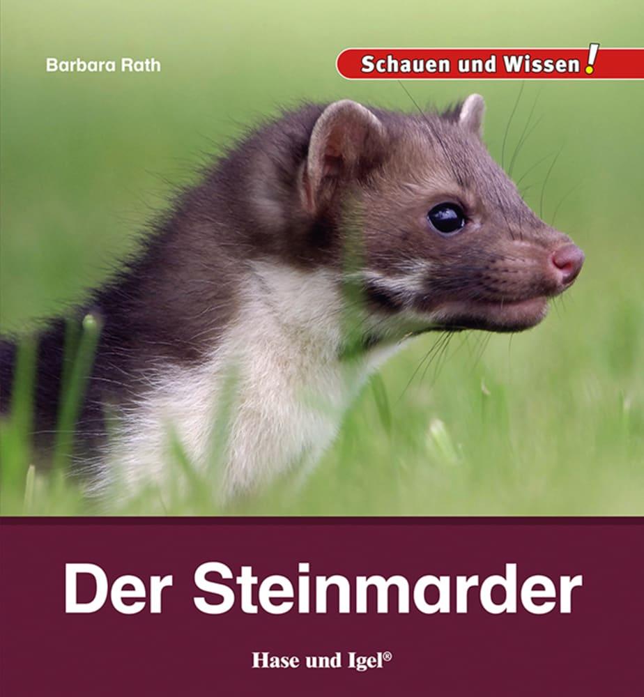 Vorderes Coverbild Der Steinmarder