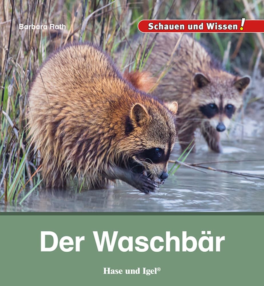 Vorderes Coverbild Der Waschbär
