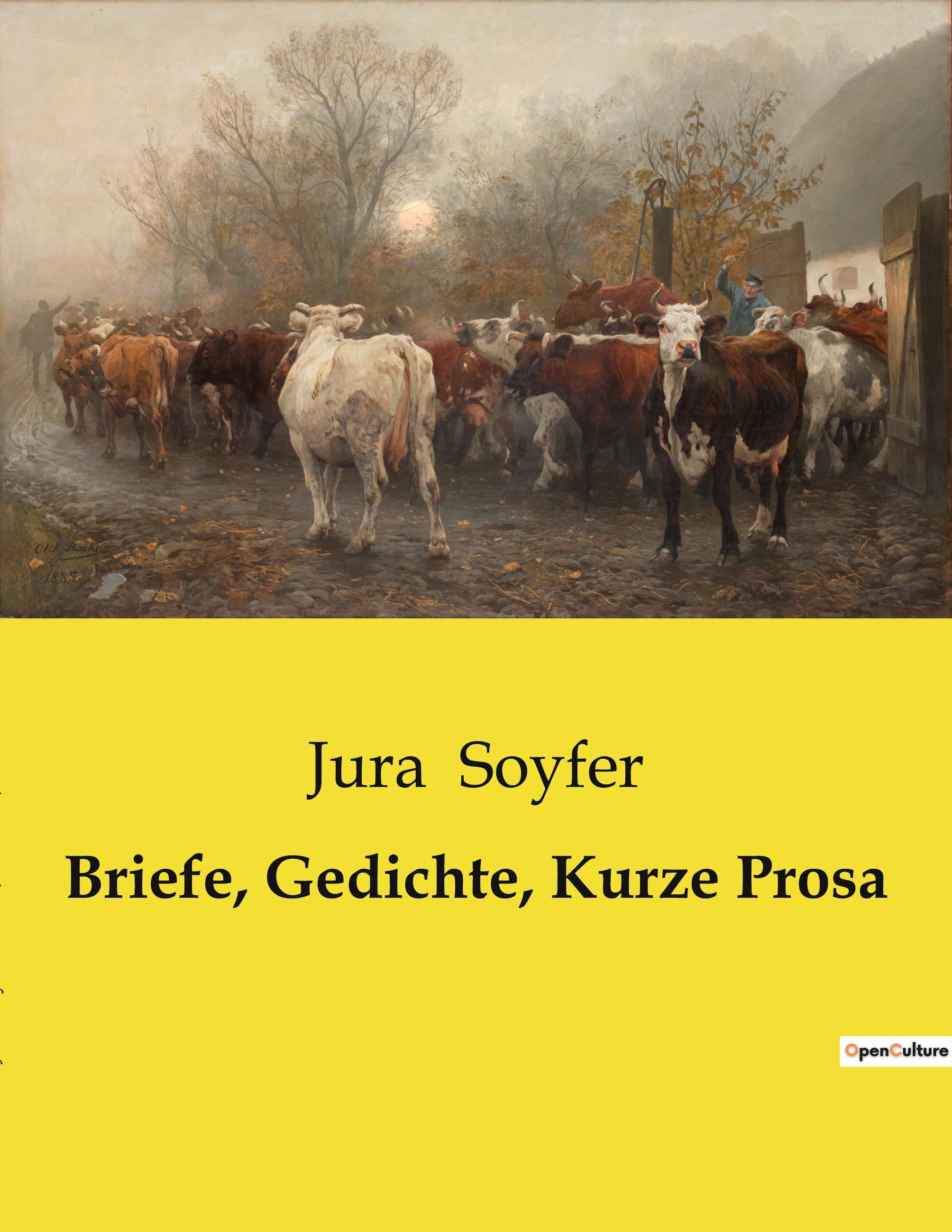 Vorderes Coverbild Briefe, Gedichte, Kurze Prosa
