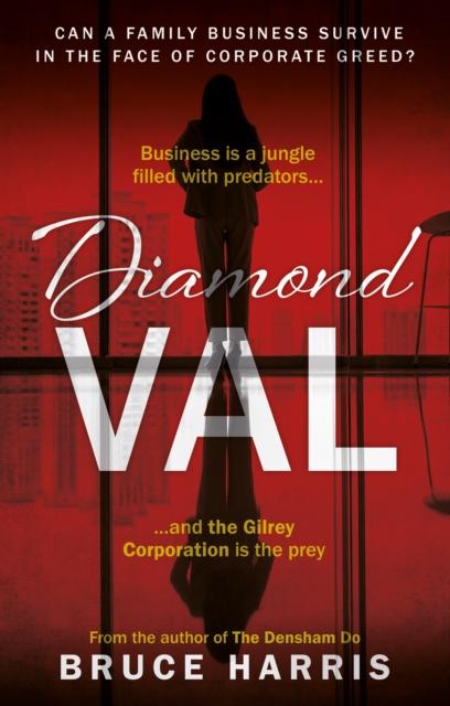Vorderes Coverbild Diamond Val