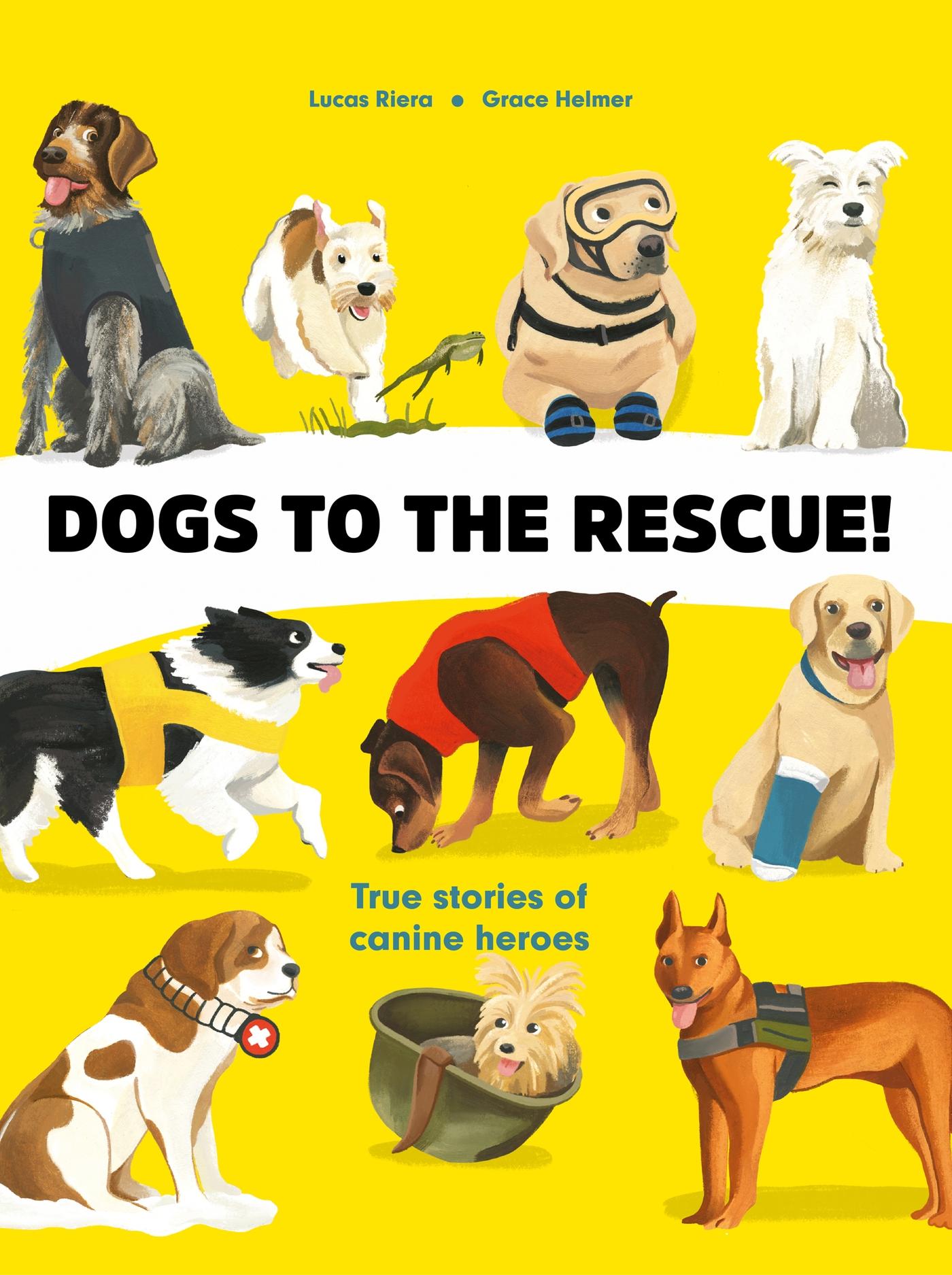Vorderes Coverbild Dogs to the Rescue