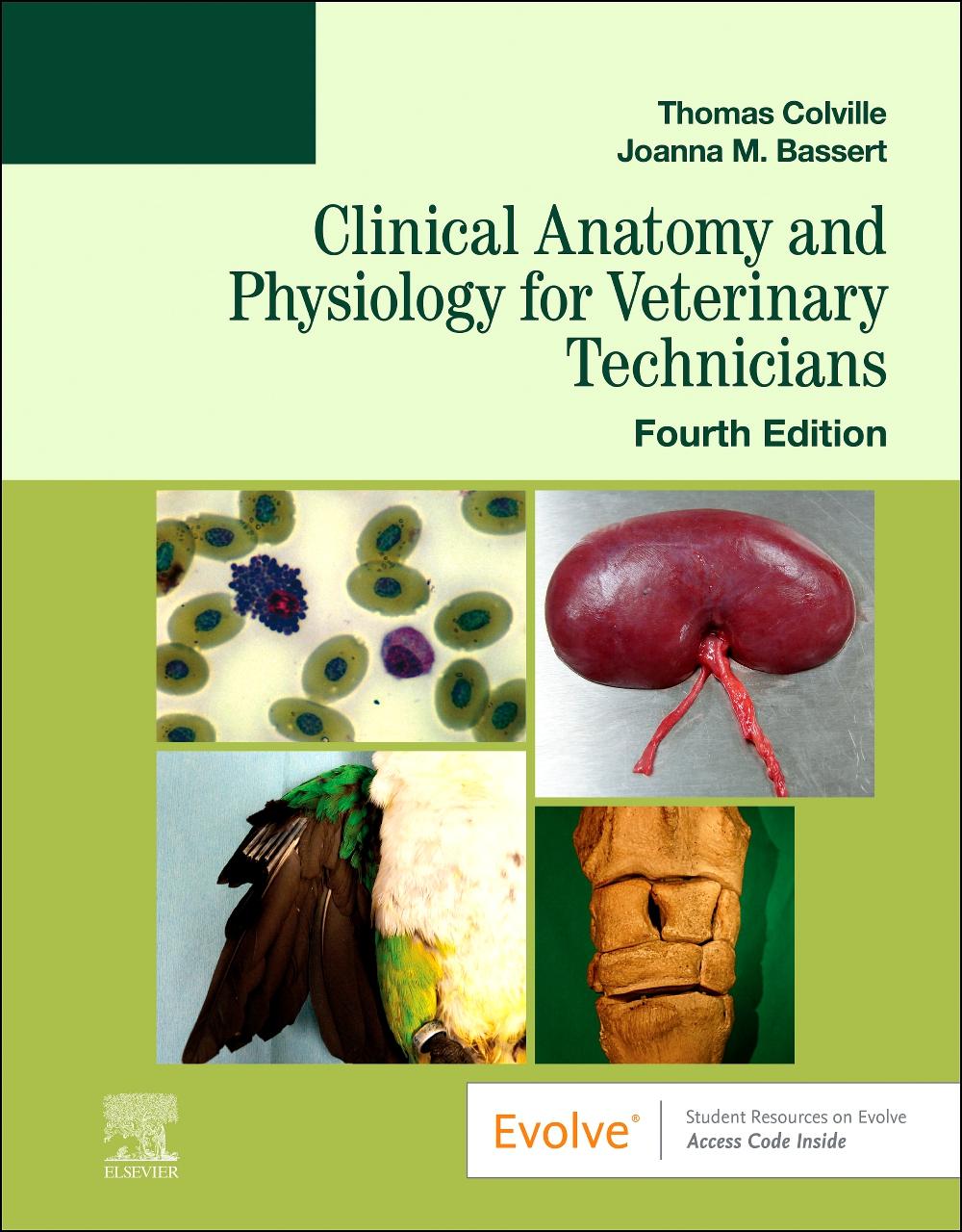 Vorderes Coverbild Clinical Anatomy and Physiology for Veterinary Technicians
