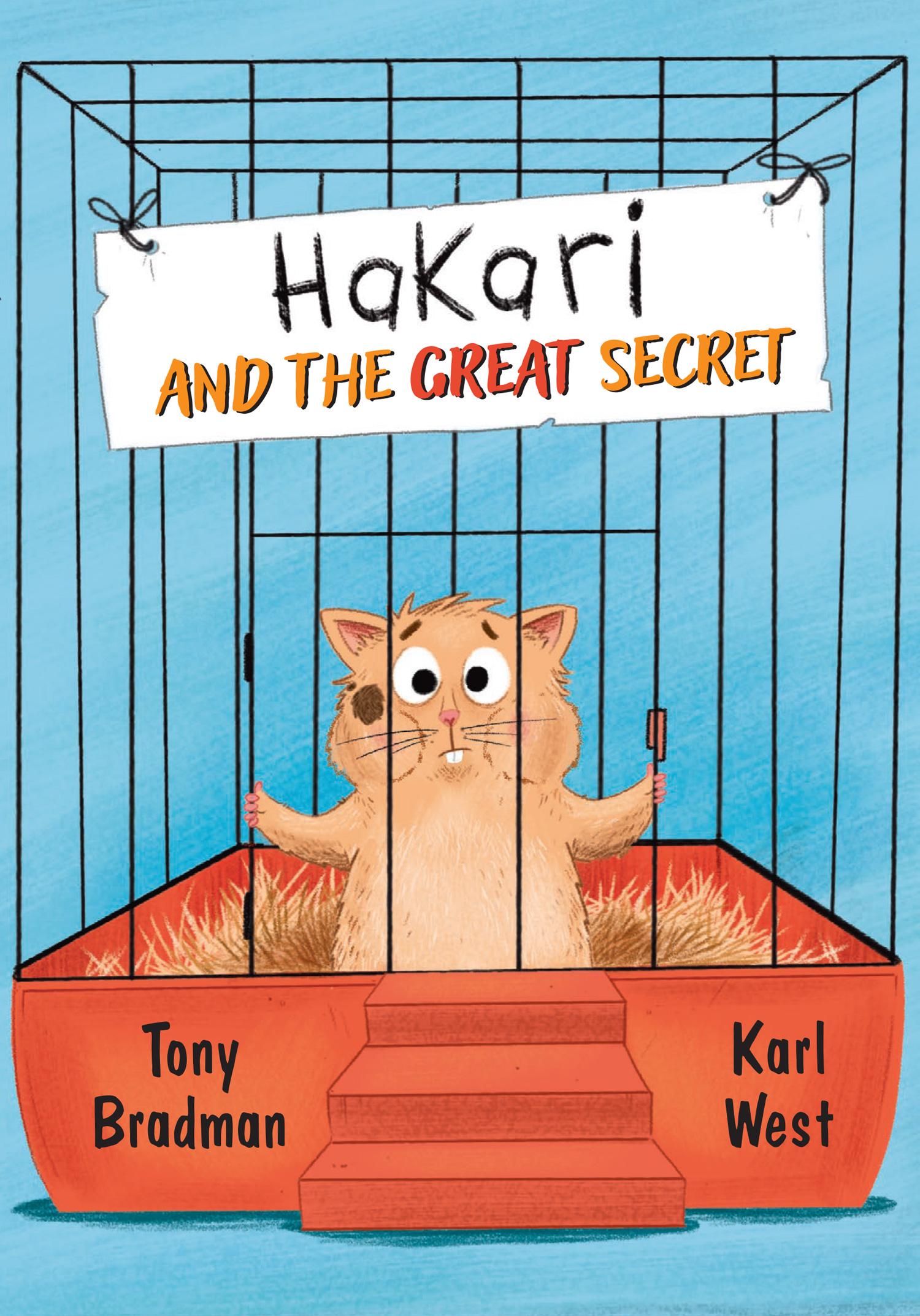 Vorderes Coverbild Hakari and the Great Secret