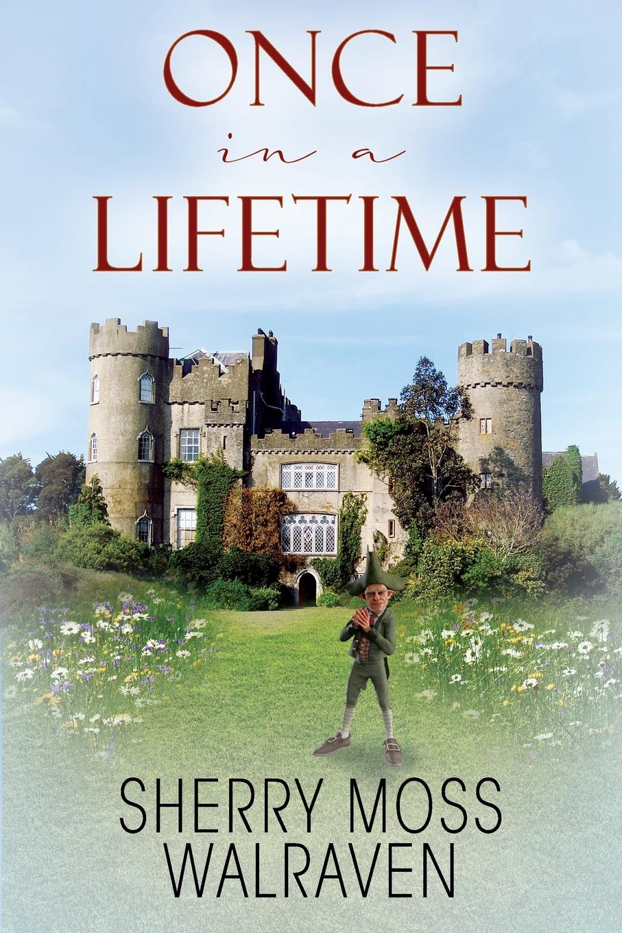 Vorderes Coverbild Once in a Lifetime