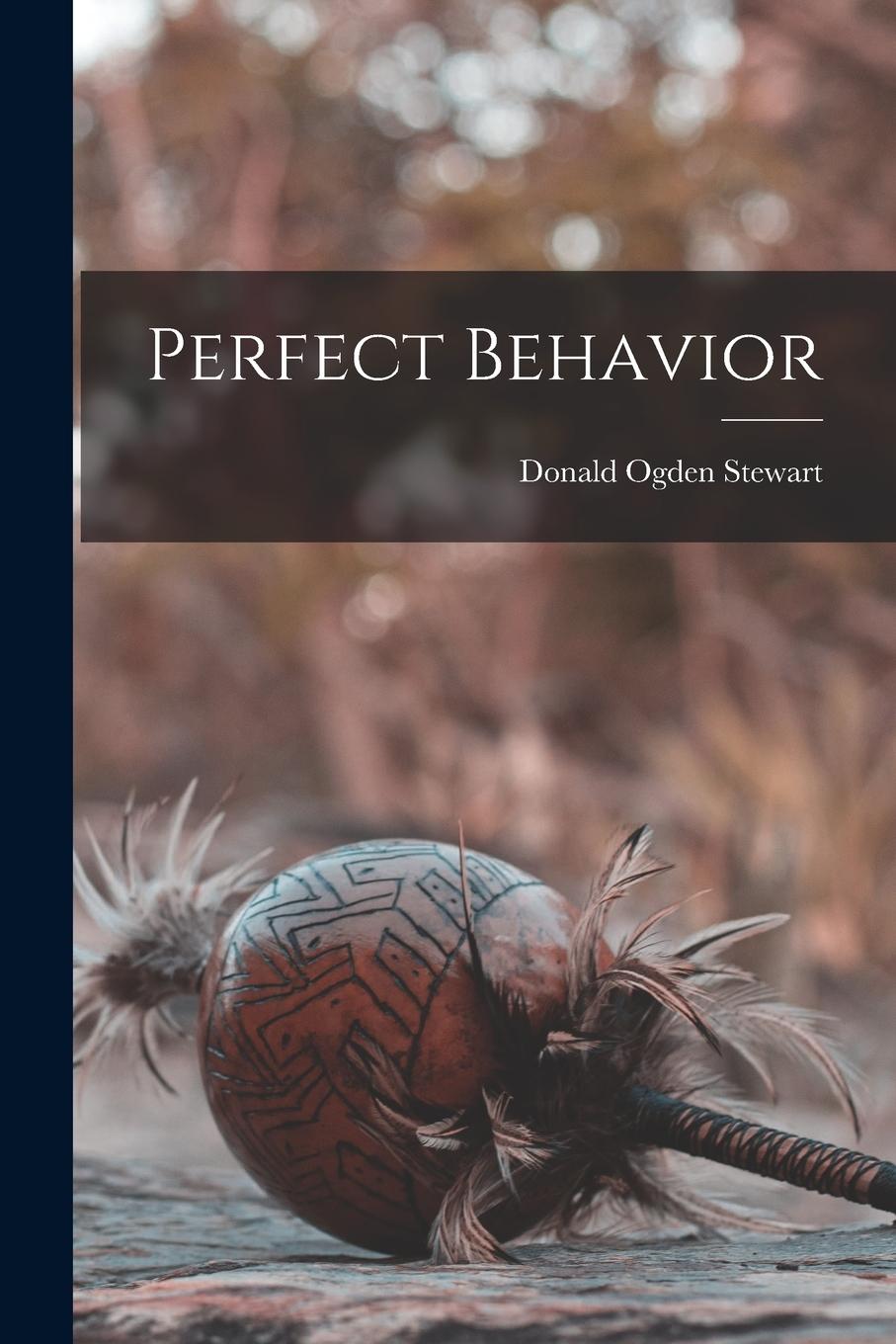 Vorderes Coverbild Perfect Behavior