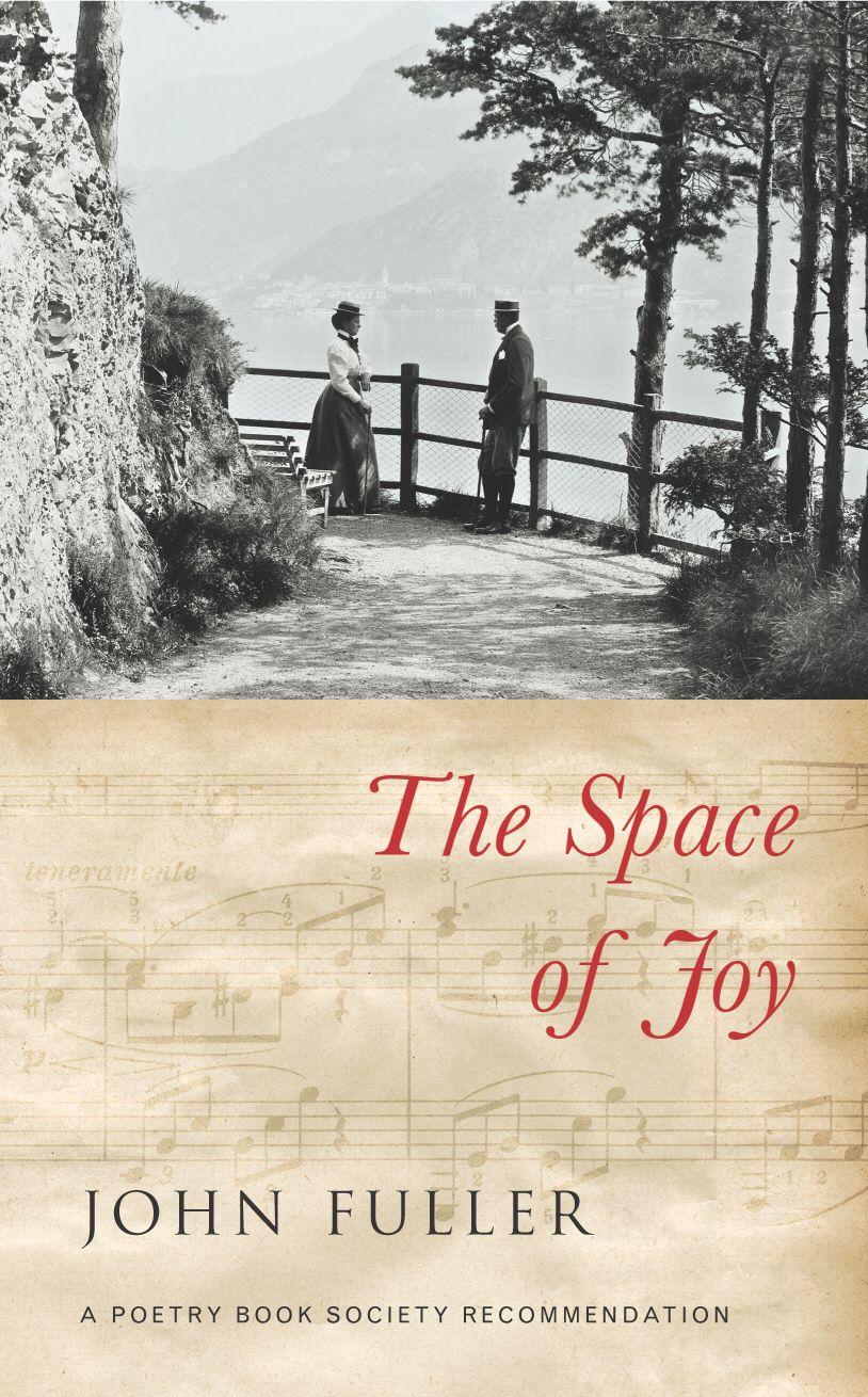 Vorderes Coverbild The Space of Joy