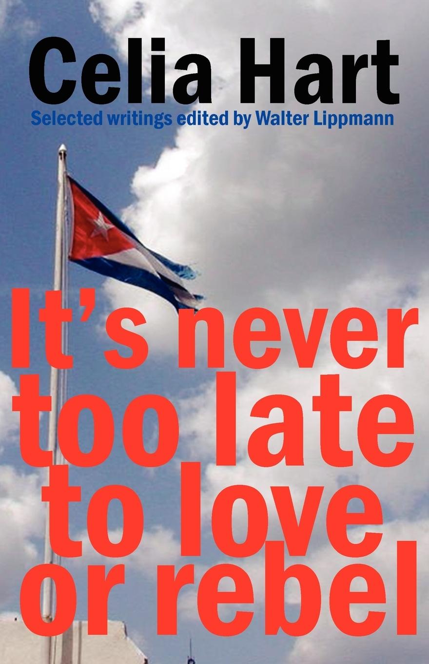 Vorderes Coverbild It's never too late to love or rebel