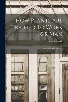 Vorderes Coverbild How Plants Are Trained To Work For Man: Grafting And Budding