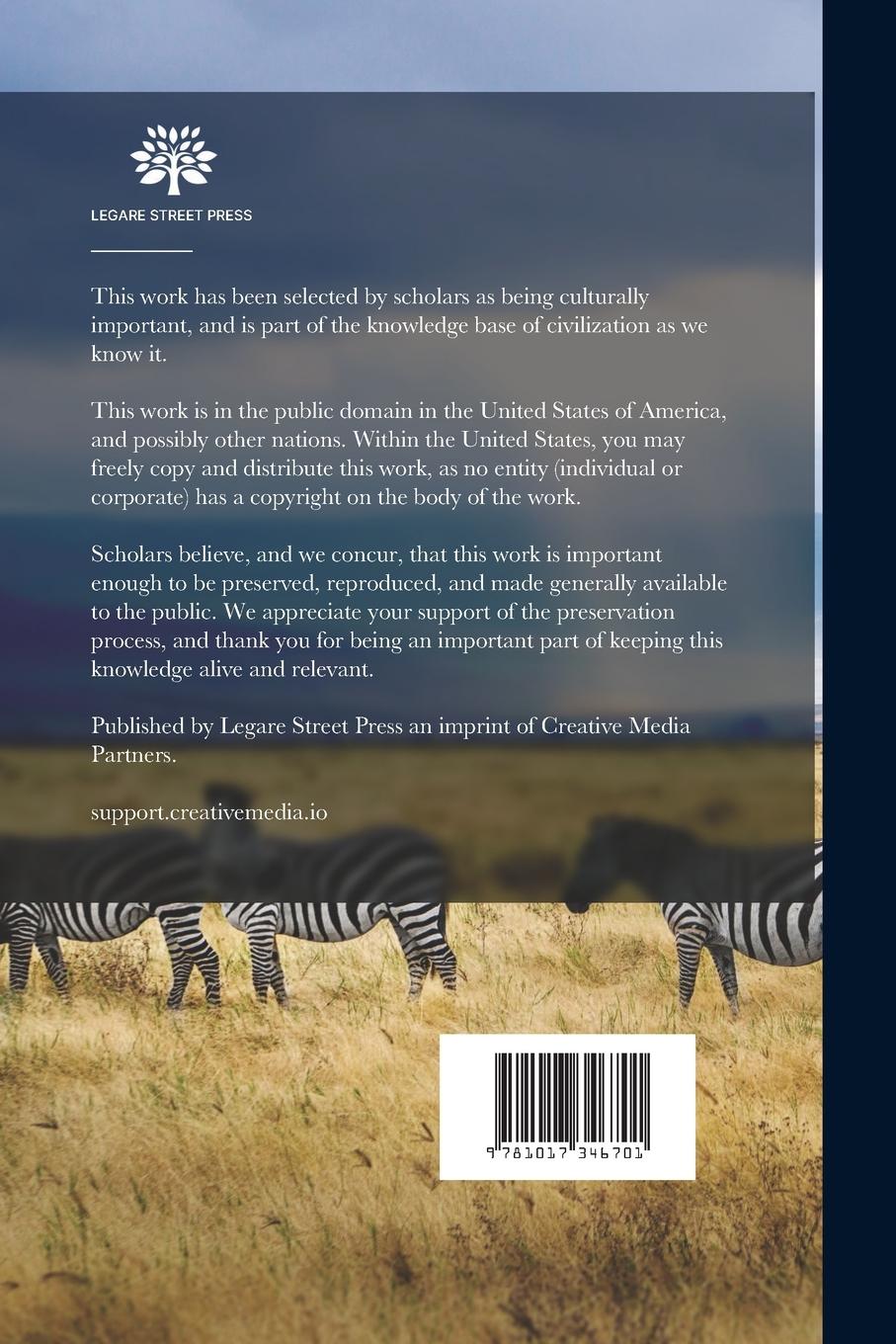 Rückseitencover Polo