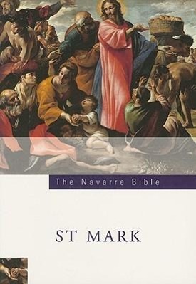 Vorderes Coverbild Navarre Bible