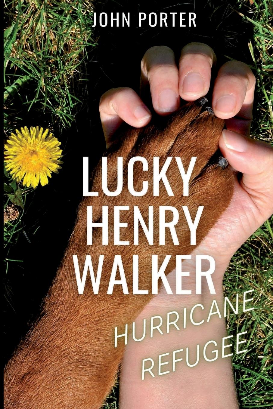 Vorderes Coverbild Lucky Henry Walker