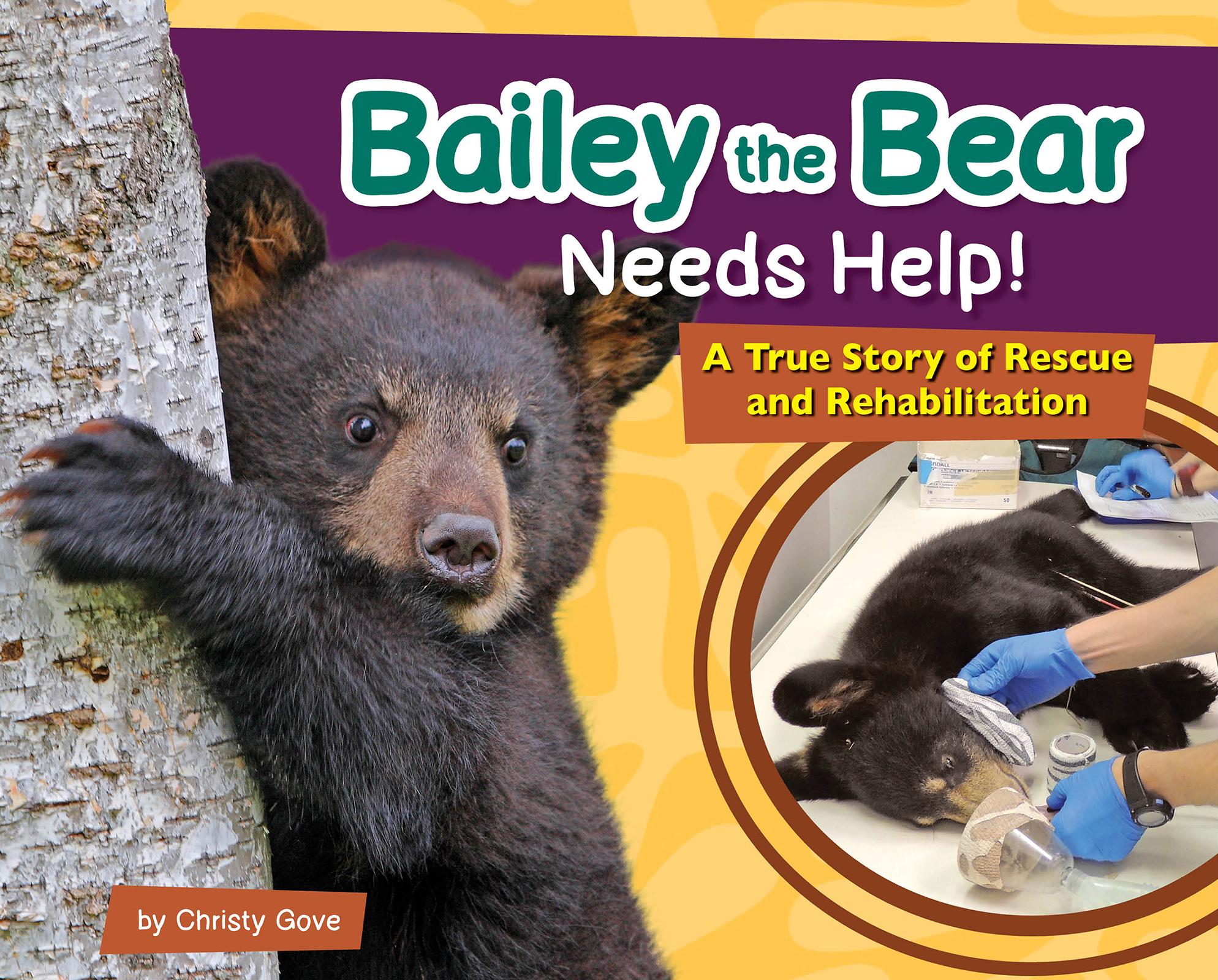 Beispielinhalt (Bild) Bailey the Bear Needs Help!