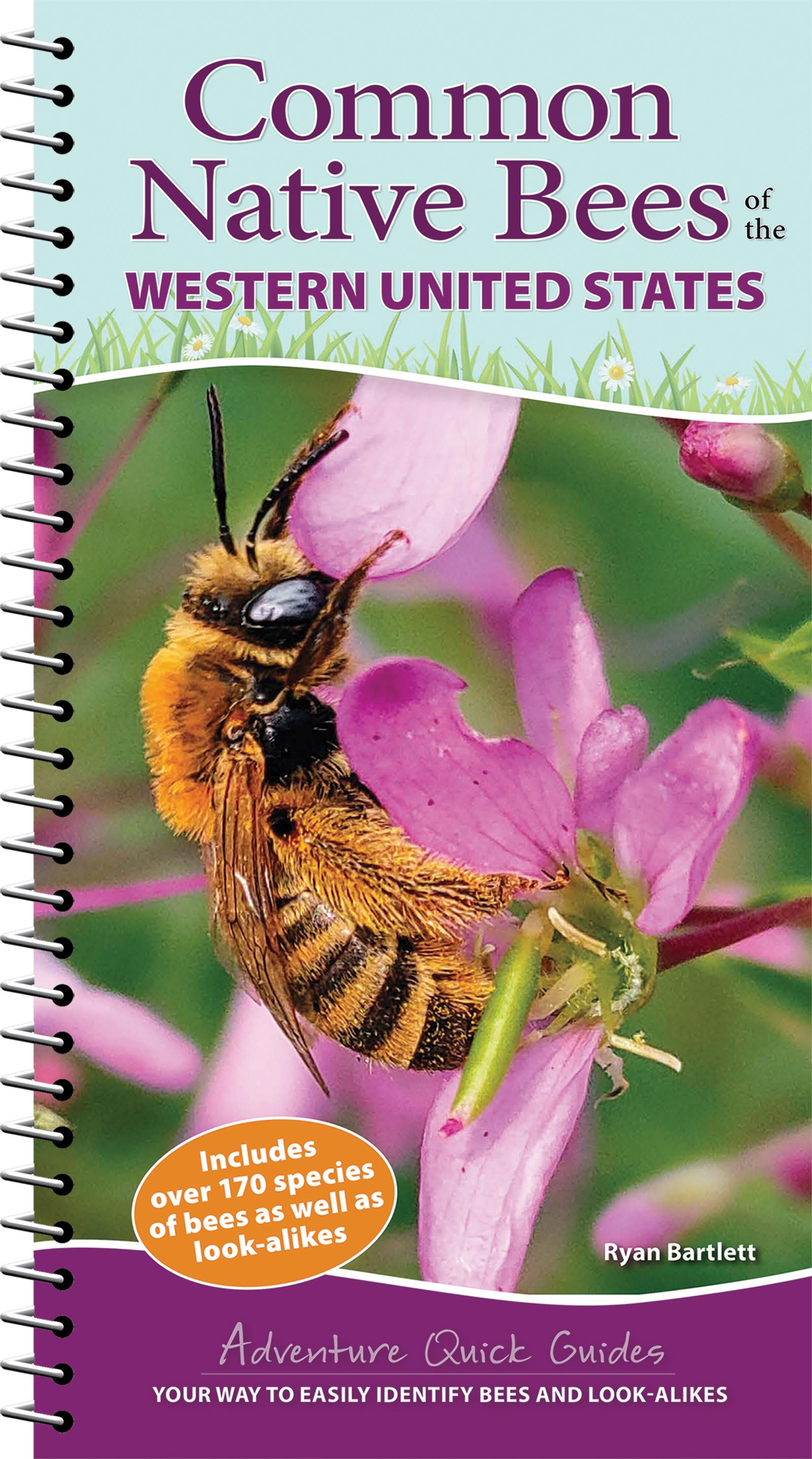 Vorderes Coverbild Common Native Bees of the Western United States