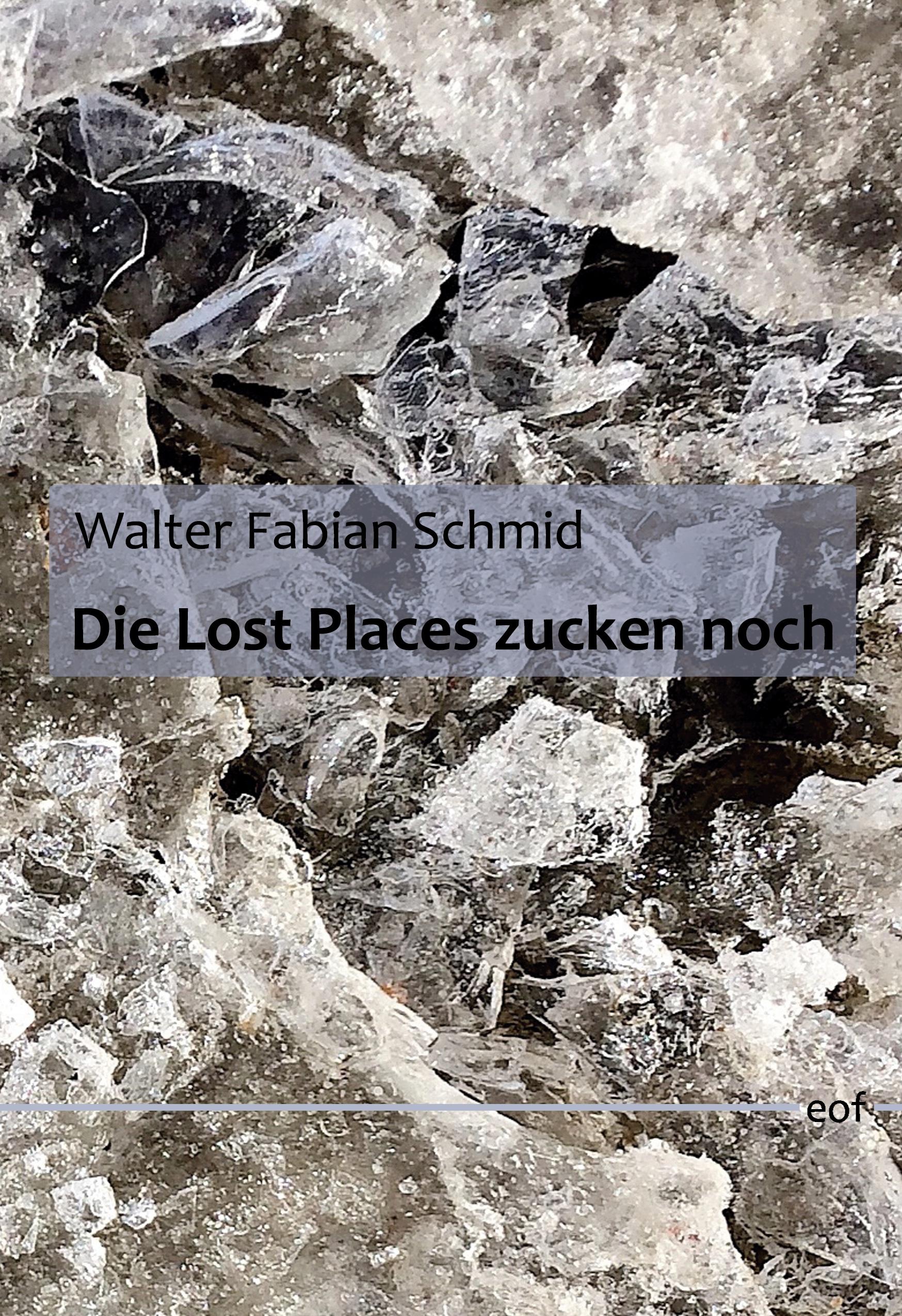 Vorderes Coverbild Die Lost Places zucken noch