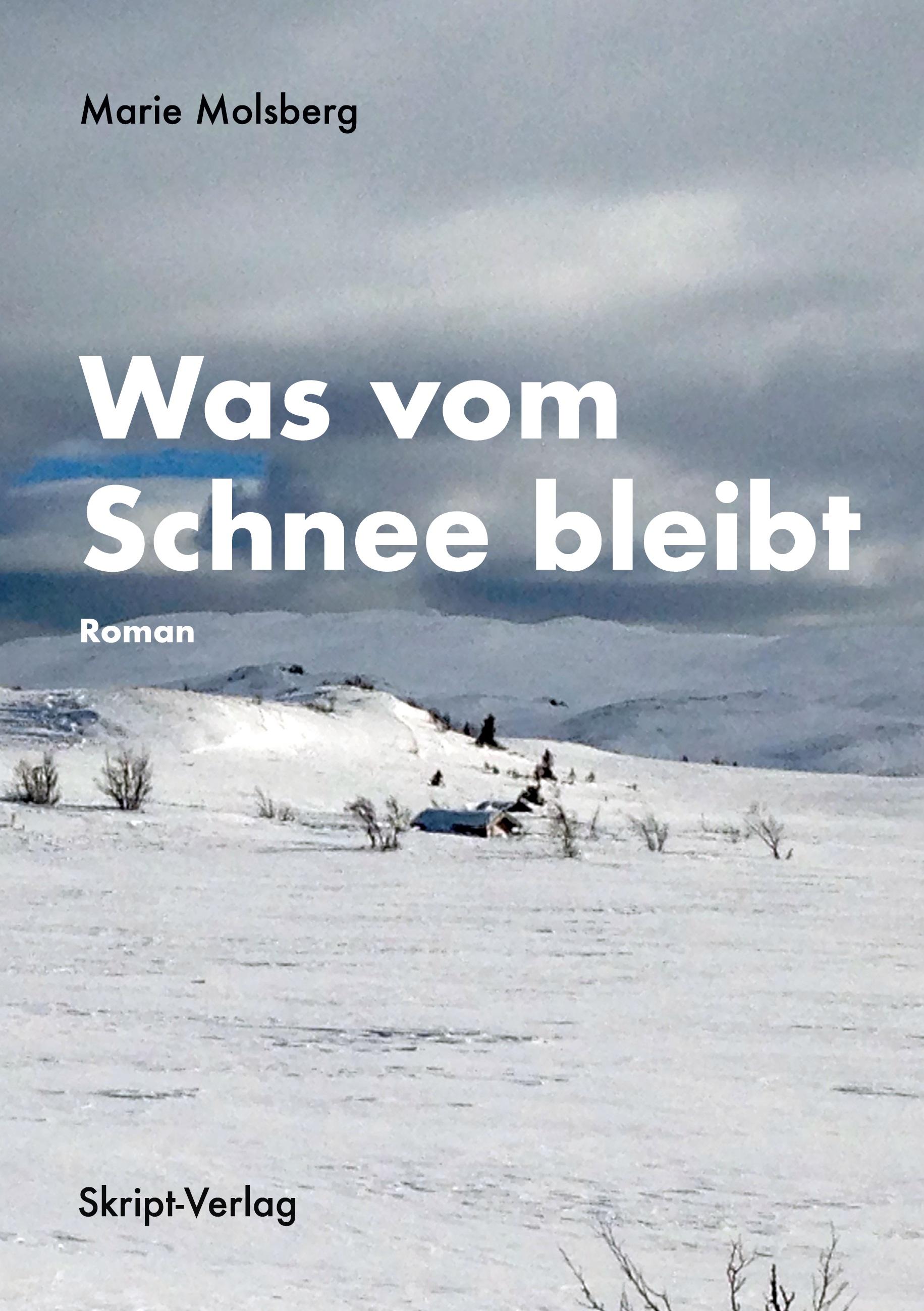 Vorderes Coverbild Was vom Schnee bleibt