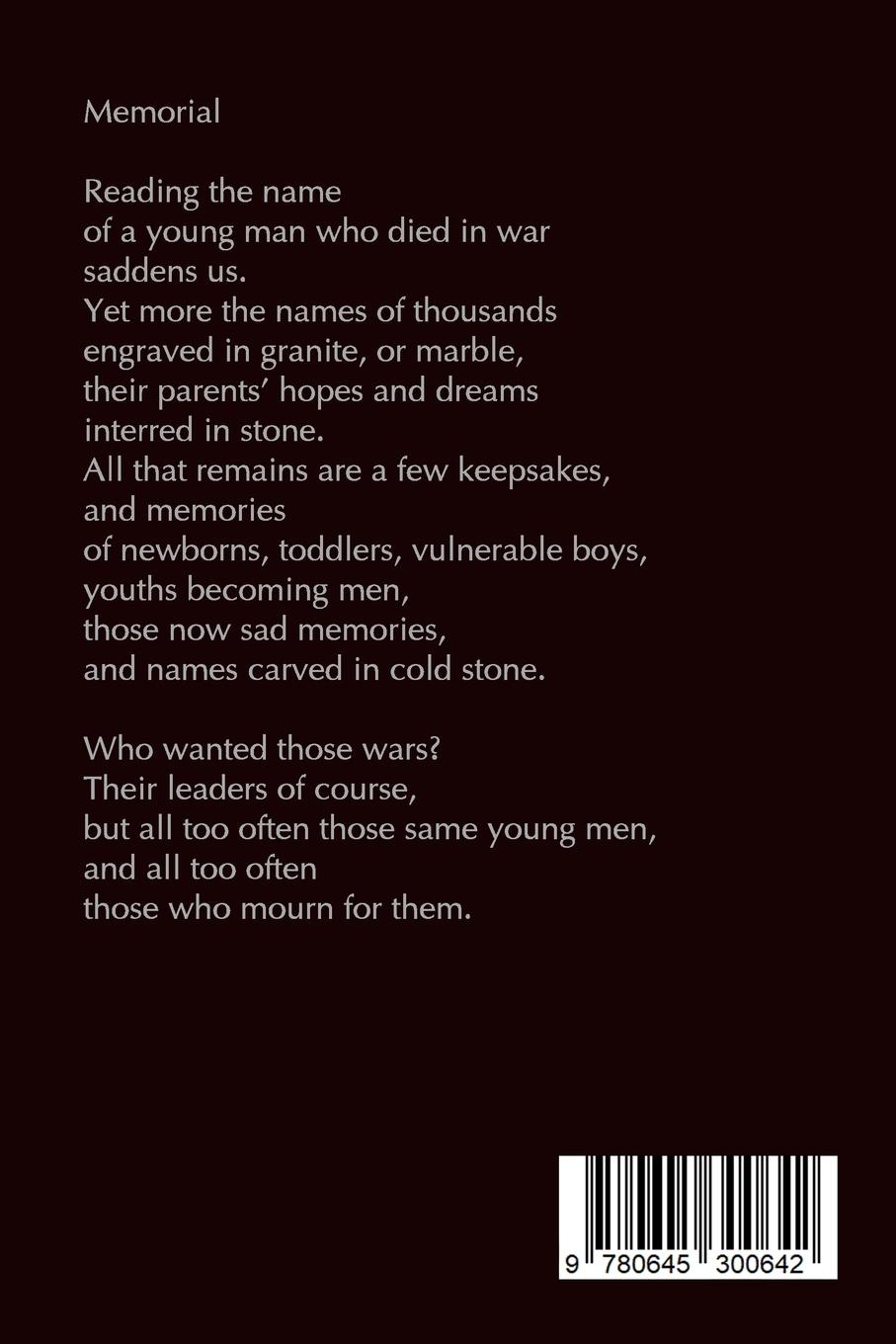 Rückseitencover The Broken Guitar