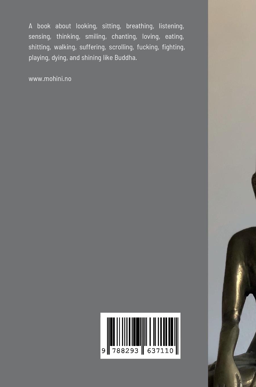 Rückseitencover Becoming Buddha