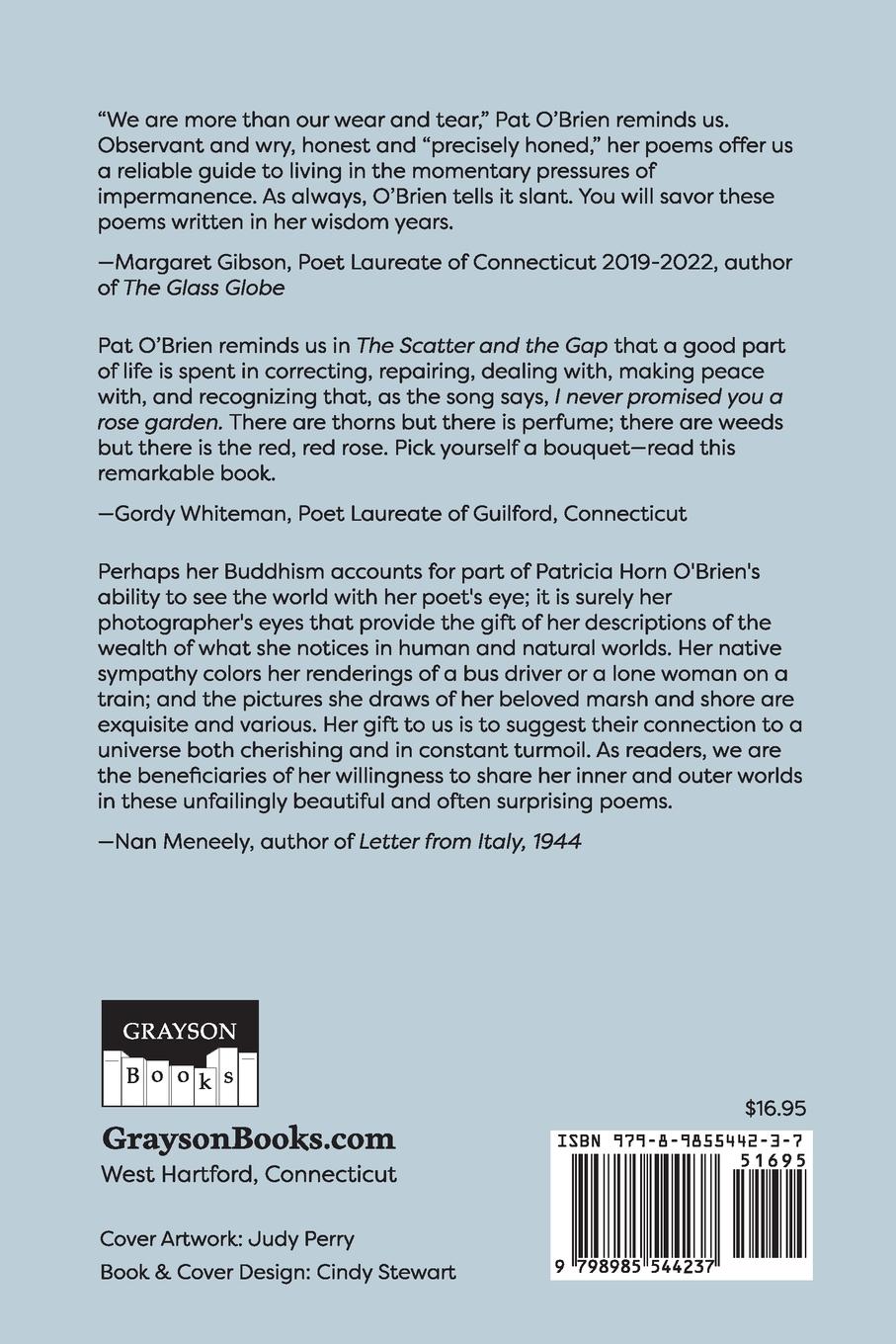 Rückseitencover The Scatter and the Gap