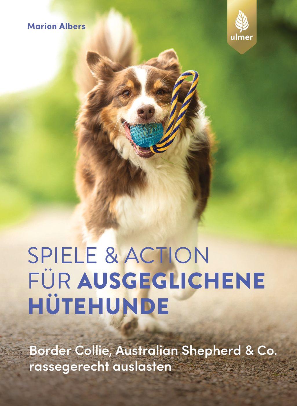 Vorderes Coverbild Spiele und Action für ausgeglichene Hütehunde
