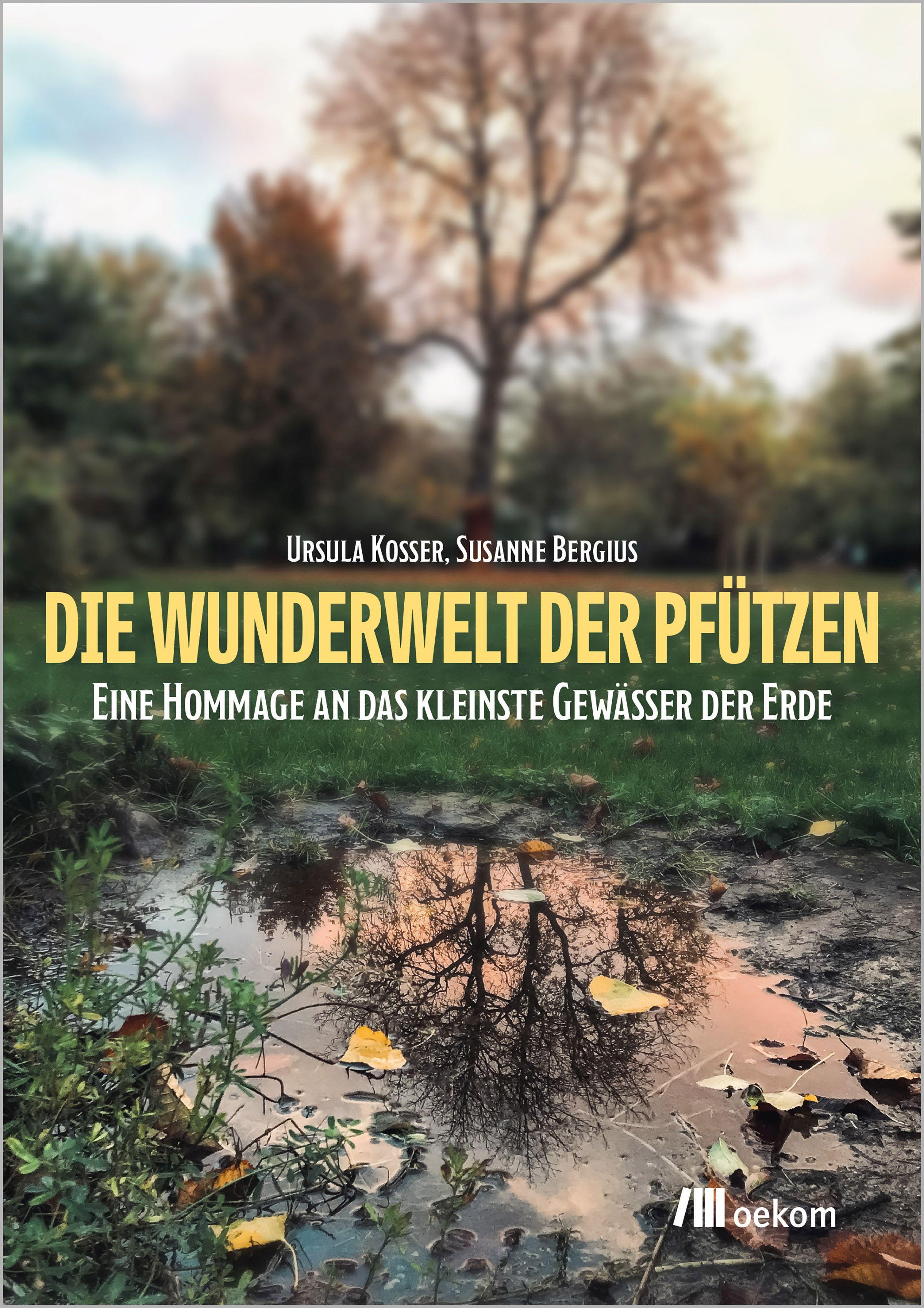 Vorderes Coverbild Die Wunderwelt der Pfützen