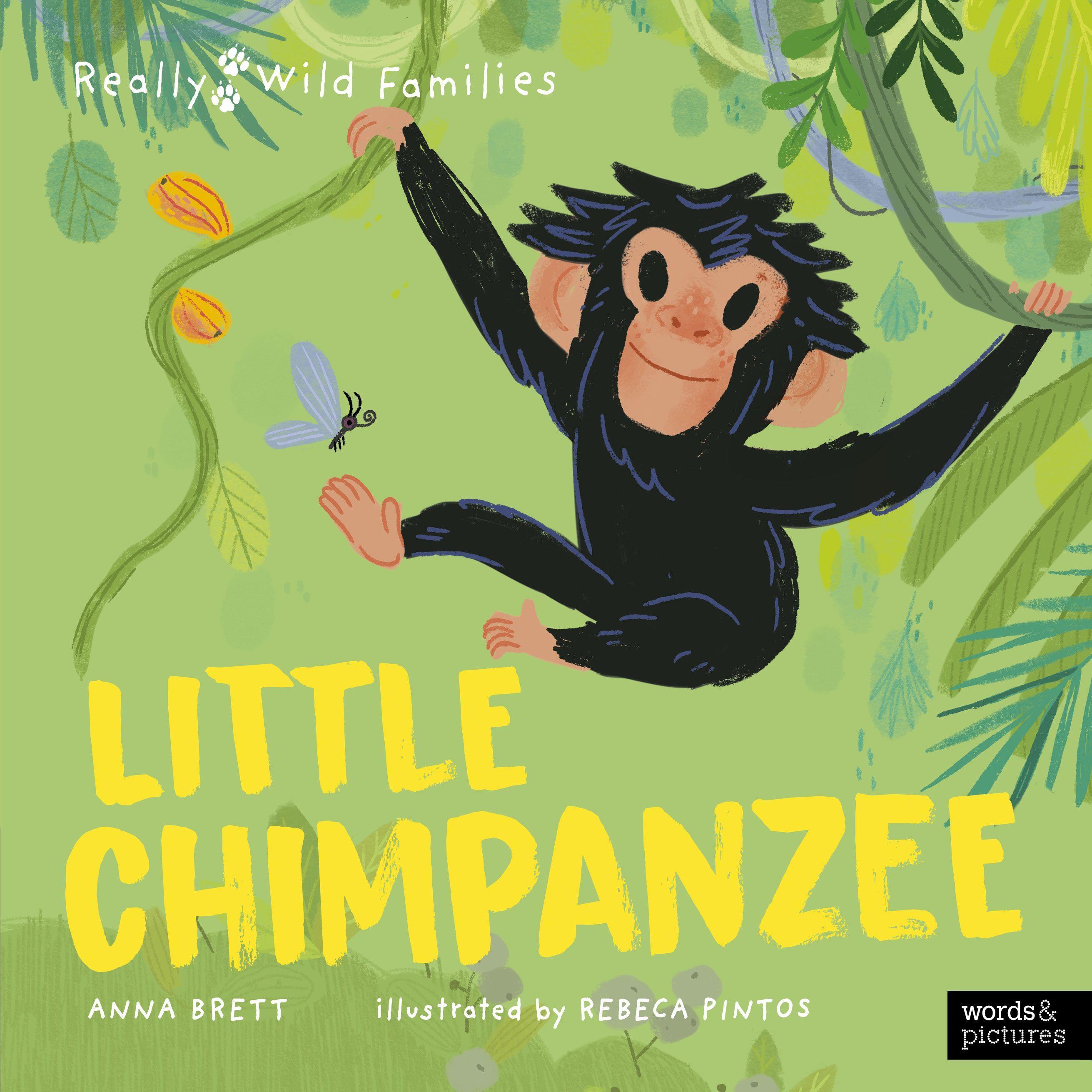 Vorderes Coverbild Little Chimpanzee