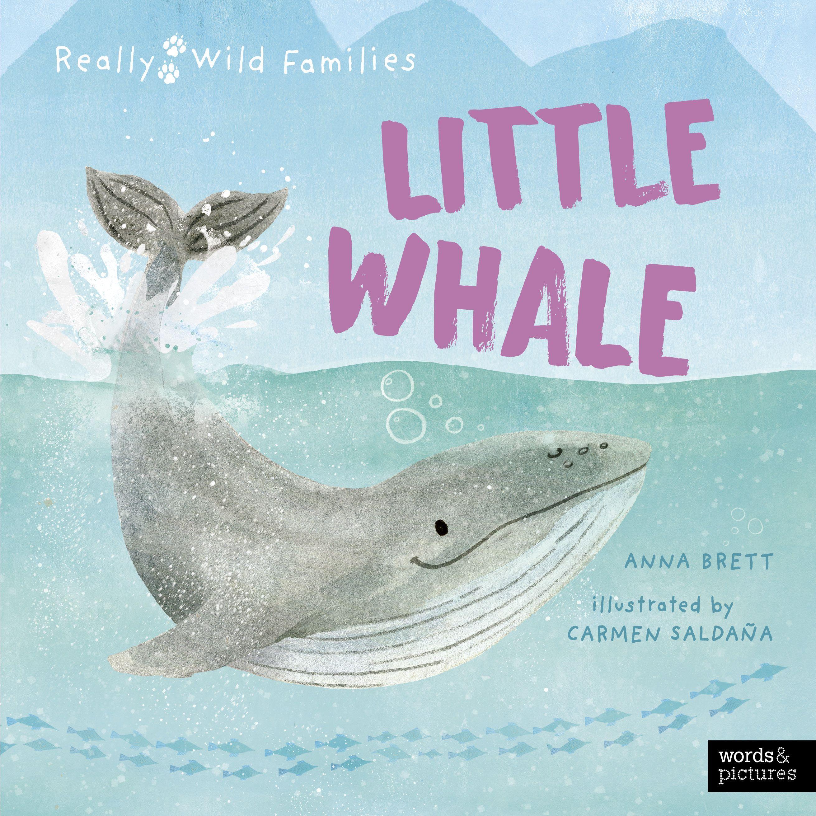 Vorderes Coverbild Little Whale