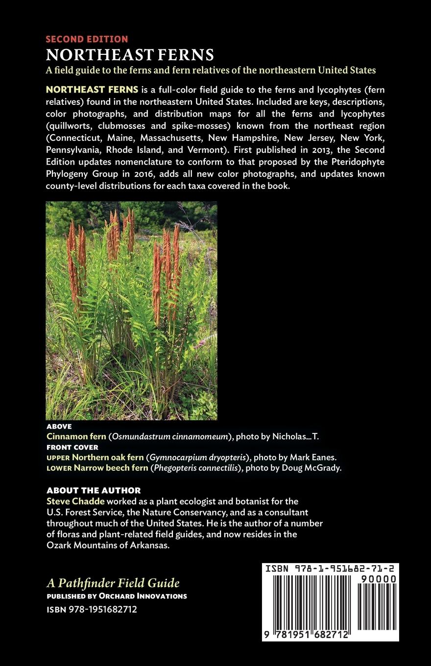 Rückseitencover Northeast Ferns