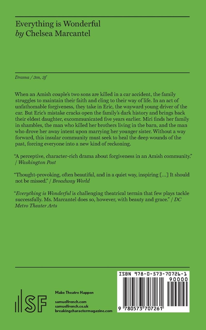 Rückseitencover Everything is Wonderful