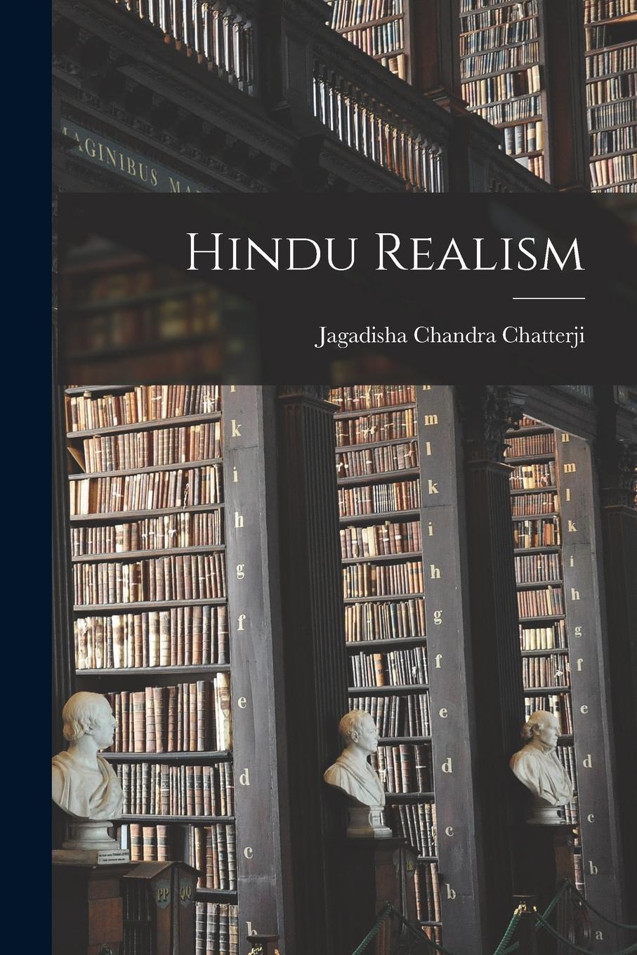 Vorderes Coverbild Hindu Realism