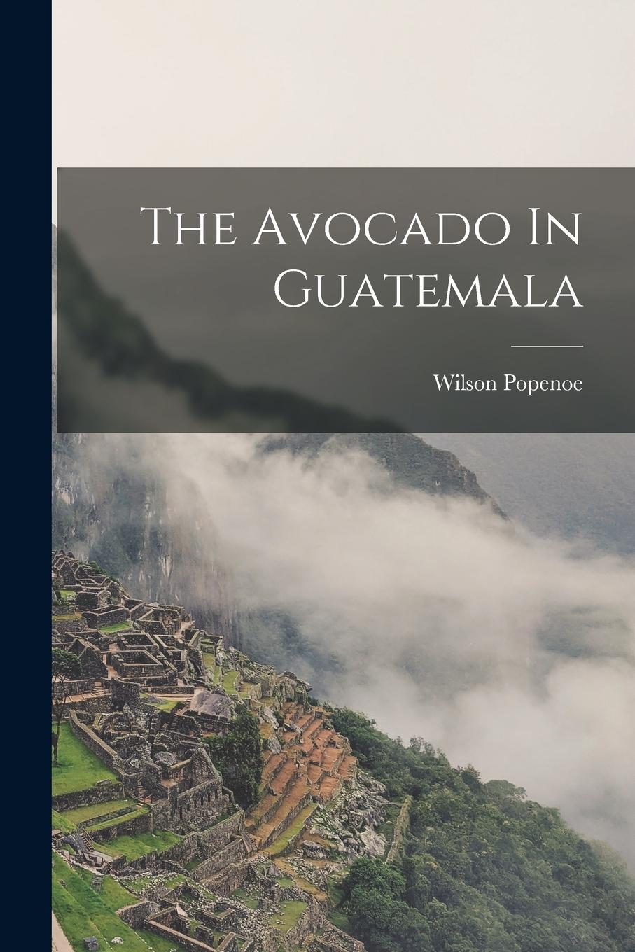 Vorderes Coverbild The Avocado In Guatemala