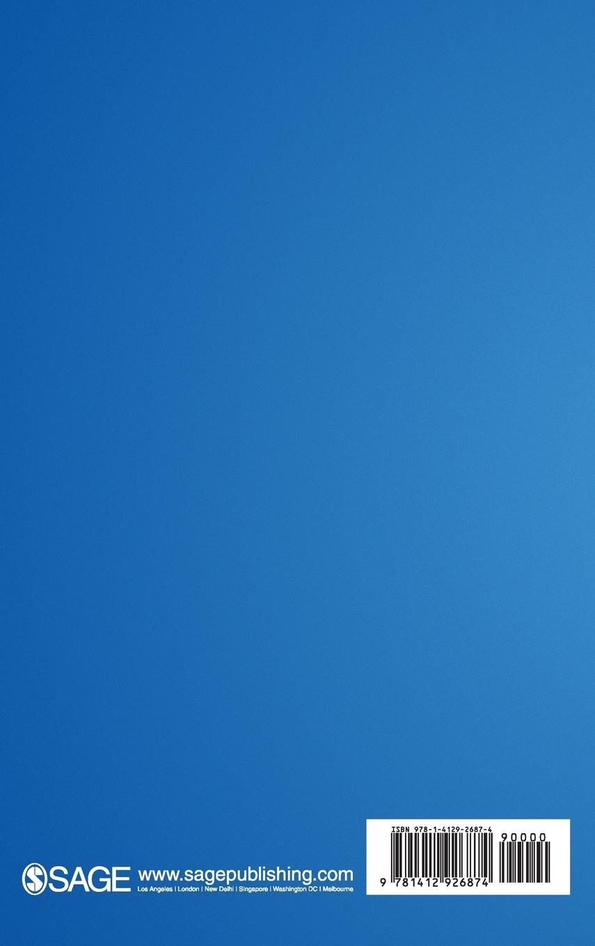 Rückseitencover Strategic Ambiguities