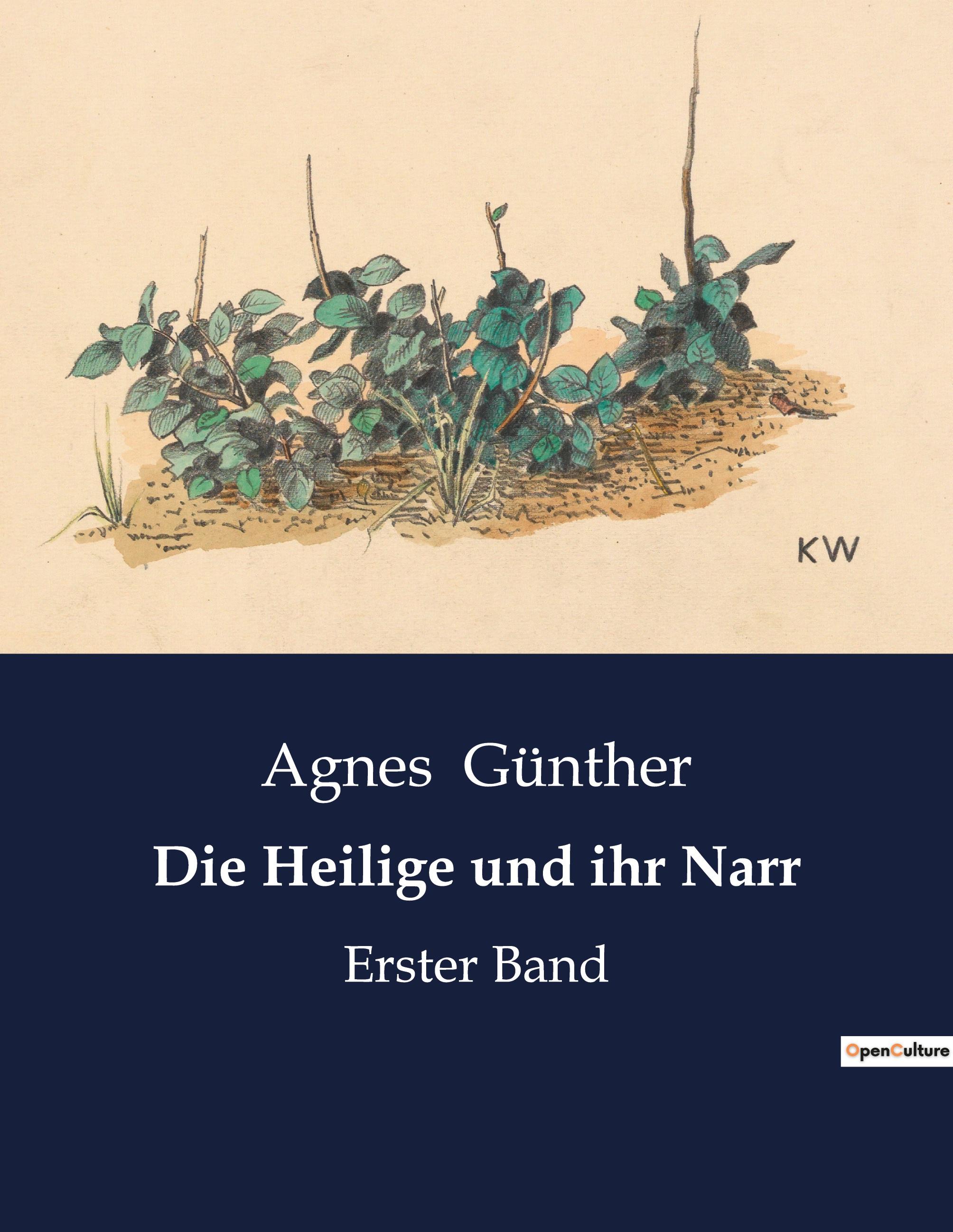 Vorderes Coverbild Die Heilige und ihr Narr