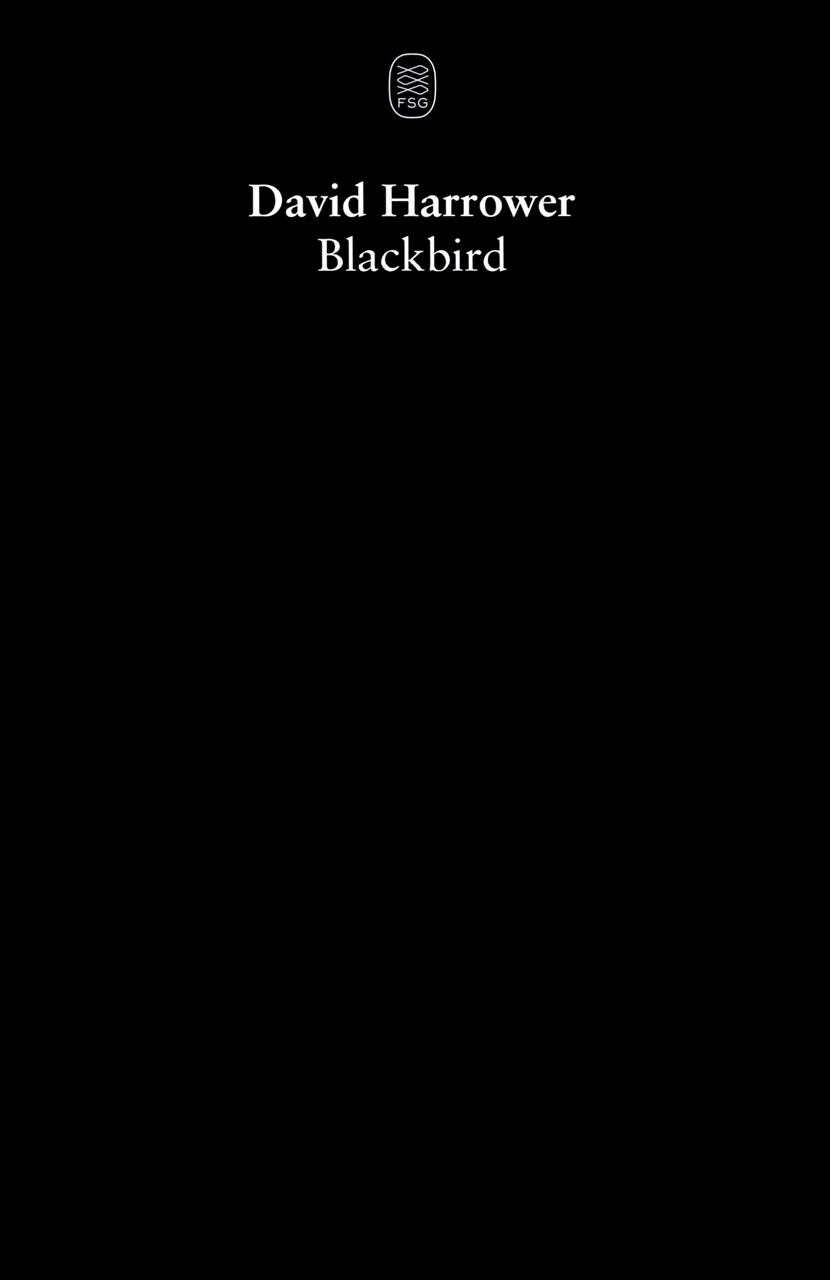 Vorderes Coverbild Blackbird