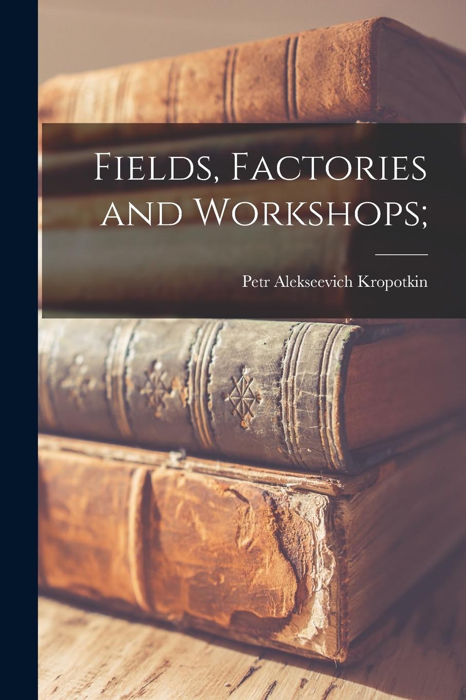 Vorderes Coverbild Fields, Factories and Workshops;