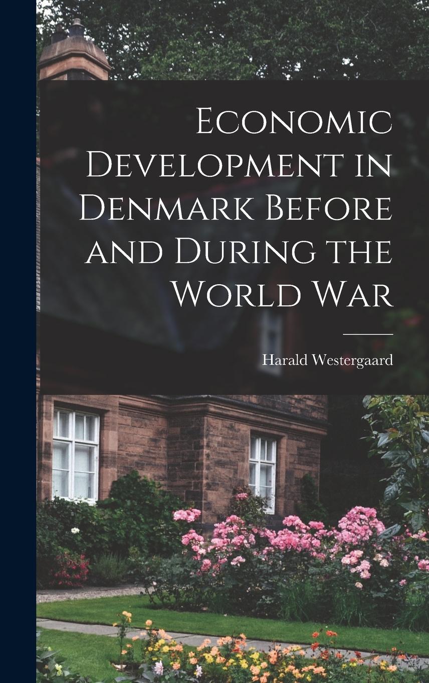 Vorderes Coverbild Economic Development in Denmark Before and During the World War