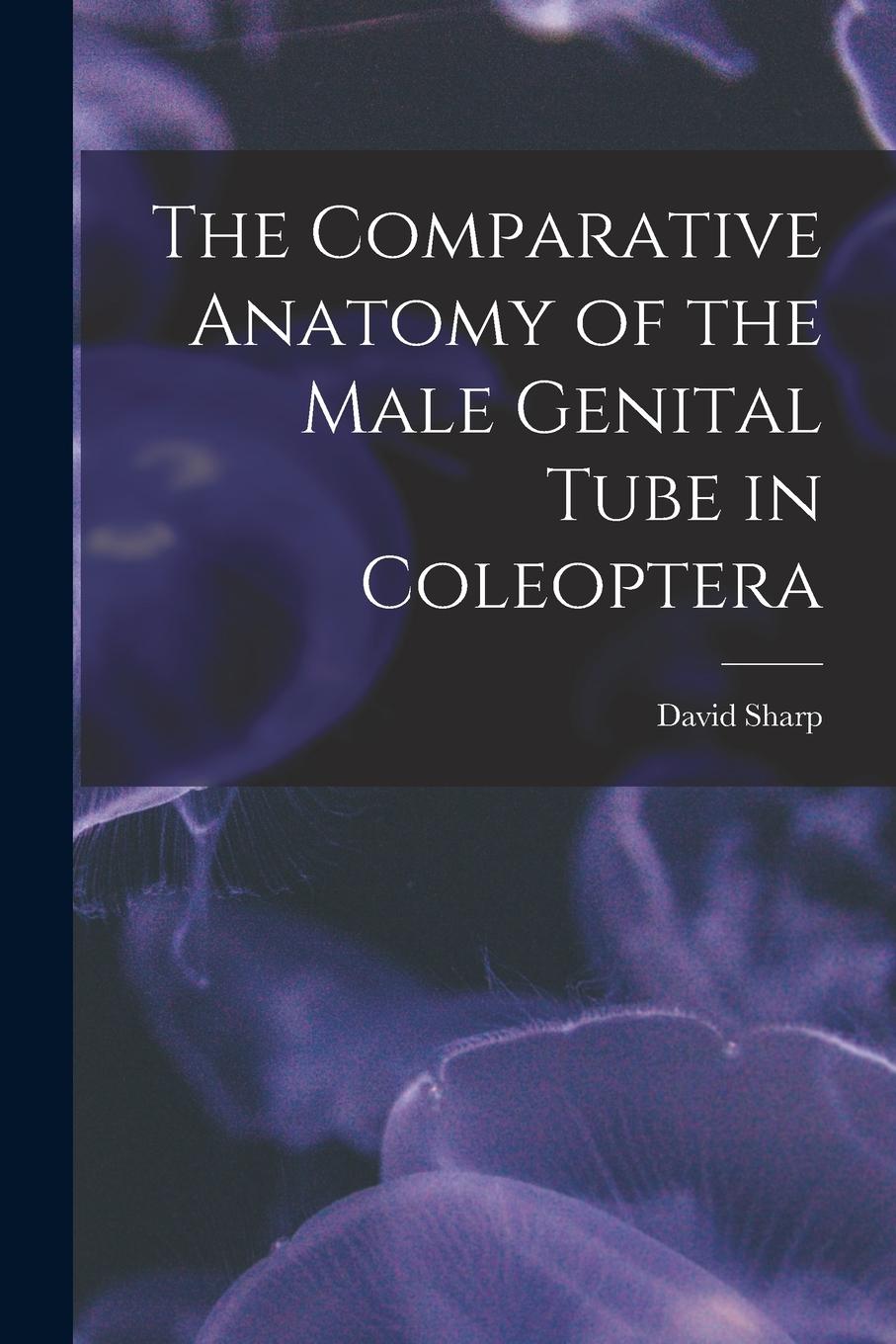 Vorderes Coverbild The Comparative Anatomy of the Male Genital Tube in Coleoptera