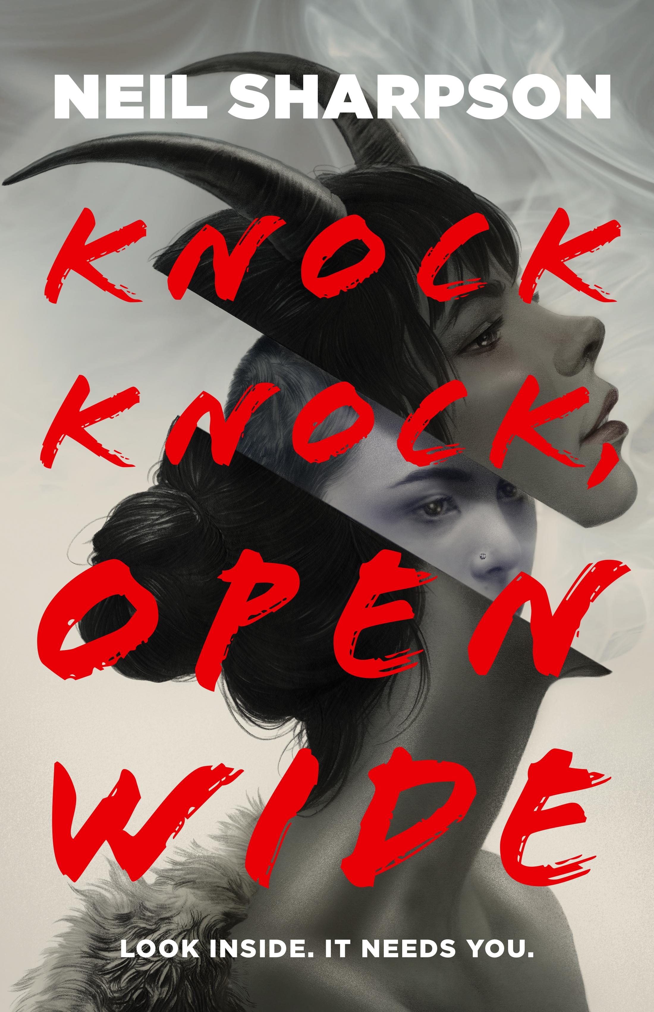 Vorderes Coverbild Knock Knock, Open Wide