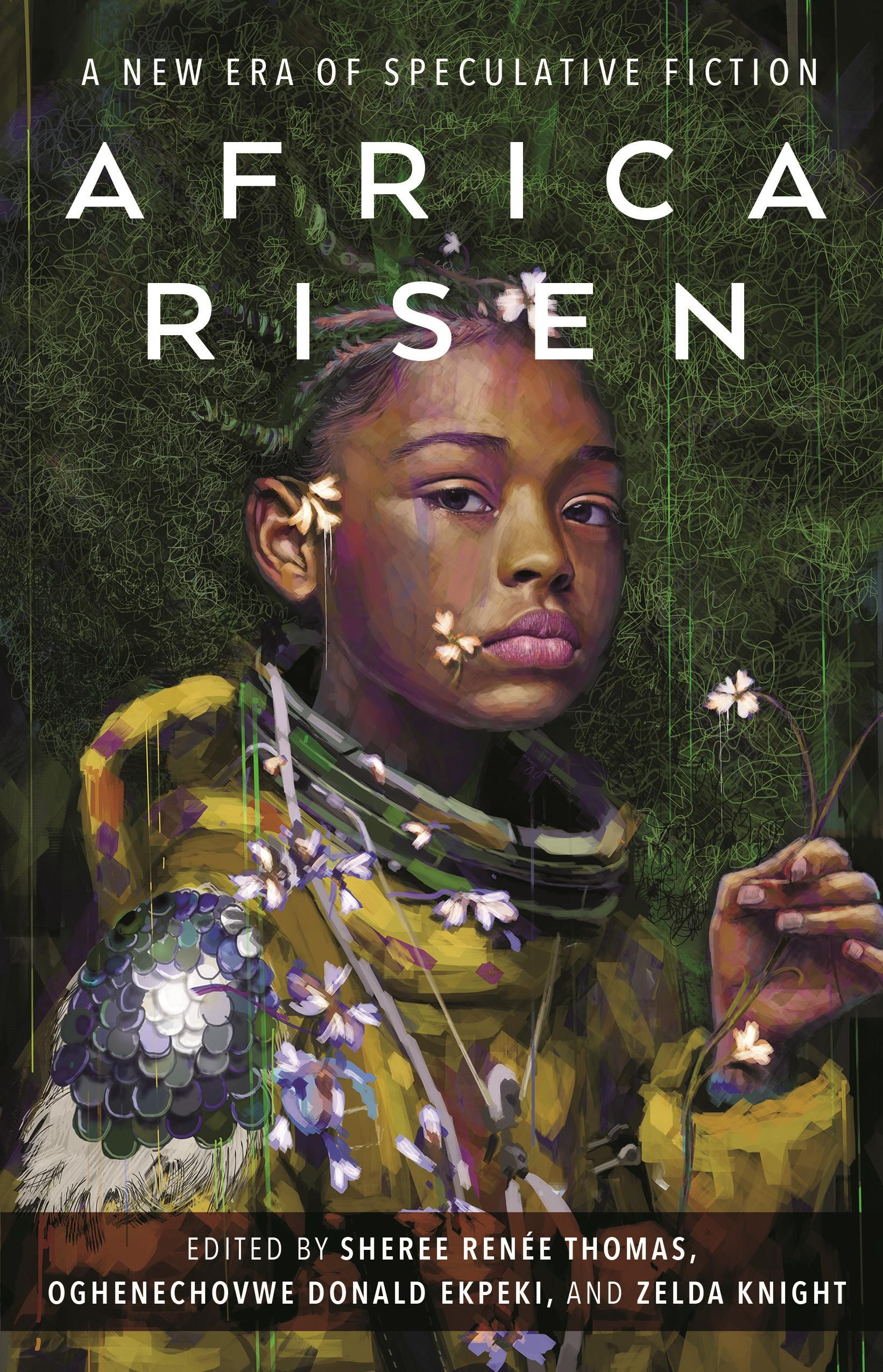 Vorderes Coverbild Africa Risen