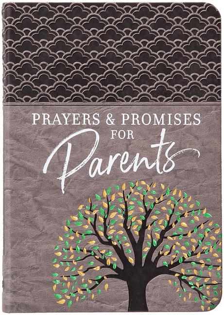 Vorderes Coverbild Prayers & Promises for Parents