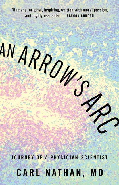 Vorderes Coverbild An Arrow's ARC