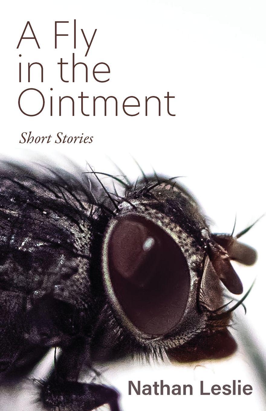 Vorderes Coverbild A Fly in the Ointment
