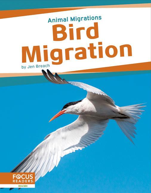 Vorderes Coverbild Bird Migration